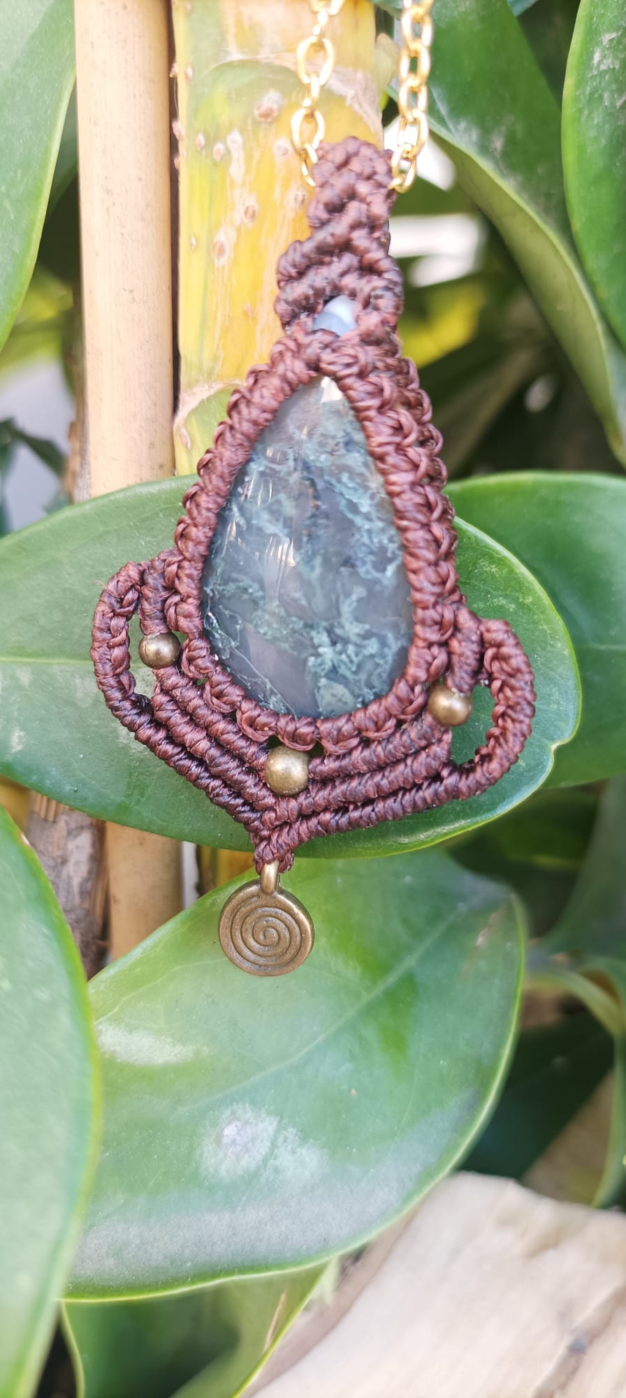 WhatsApp Image 2023-01-11 at 19.17.20 (1)