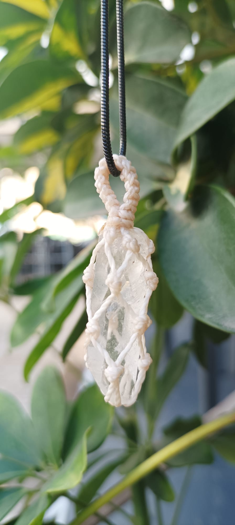 WhatsApp Image 2023-01-11 at 19.18.27 (1)