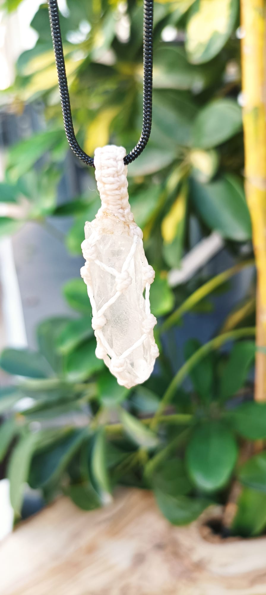 WhatsApp Image 2023-01-11 at 19.18.27 (2)