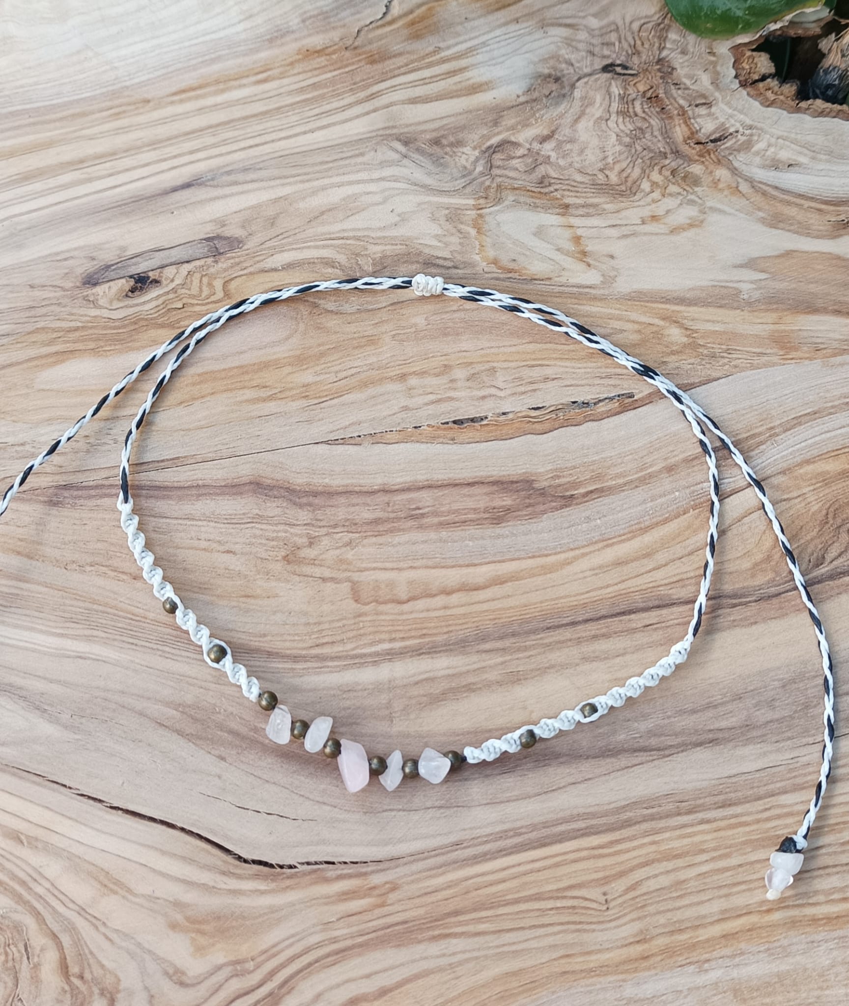 WhatsApp Image 2023-01-11 at 19.18.43 (1)