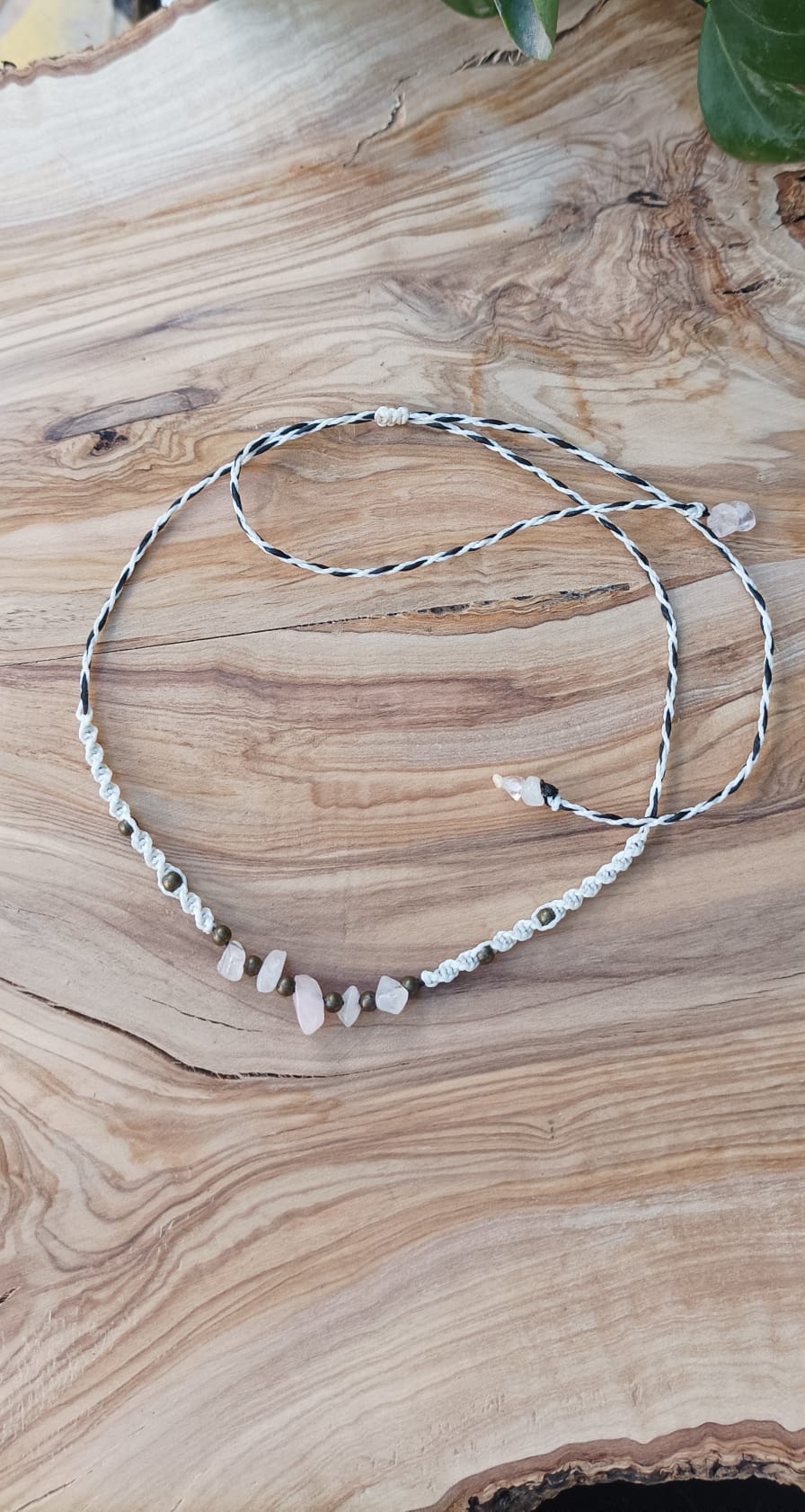 WhatsApp Image 2023-01-11 at 19.18.43