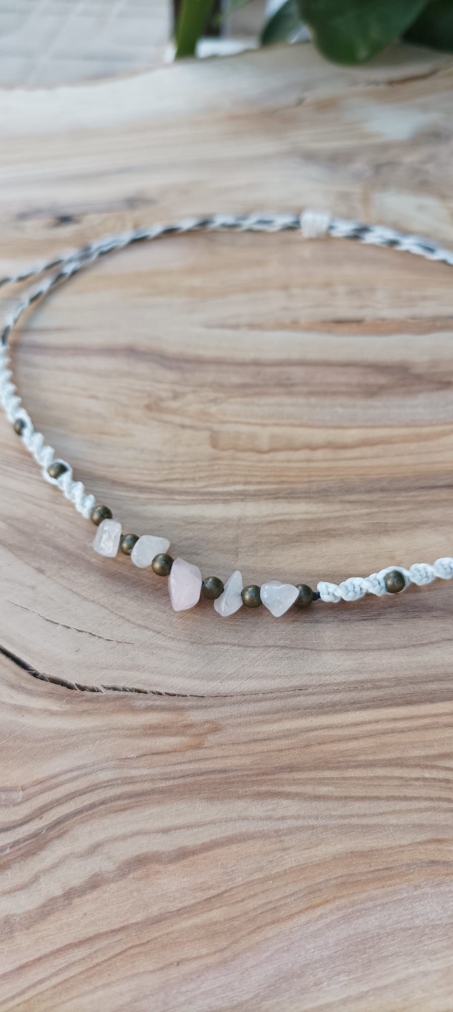 WhatsApp Image 2023-01-11 at 19.18.44 (2)