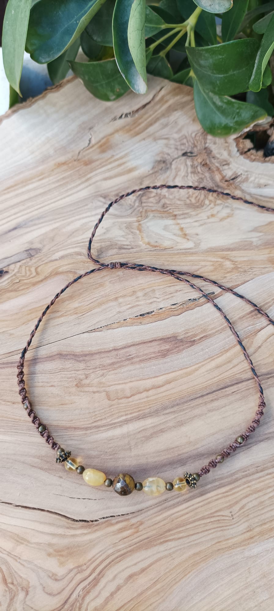 WhatsApp Image 2023-01-11 at 19.18.46